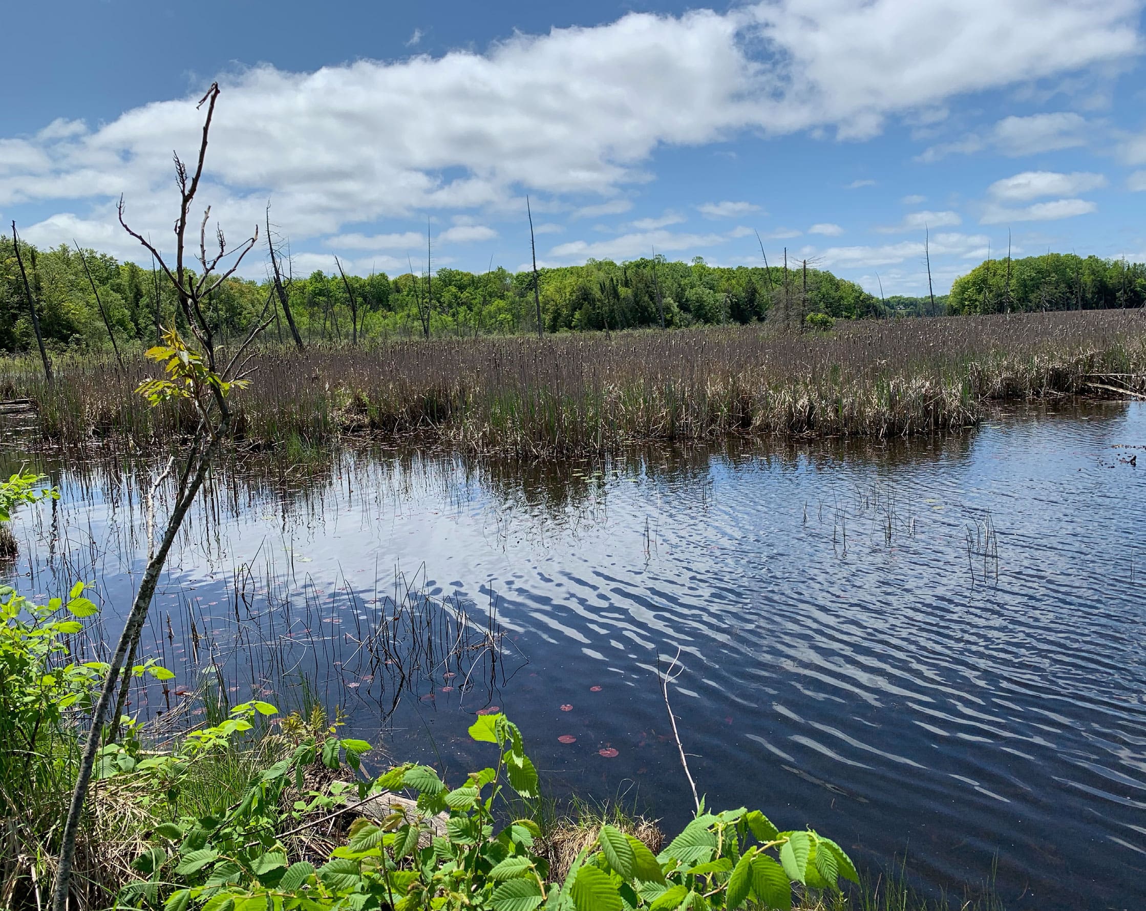 long_sault_creek_pic1-min